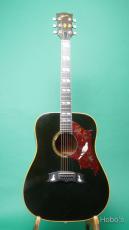 Gibson DOVE_2