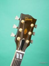 Gibson DOVE_3