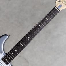 Paul Reed Smith [PRS] Silver Sky Rosewood Tungsten / 2024_7