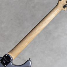 Paul Reed Smith [PRS] Silver Sky Rosewood Tungsten / 2024_8