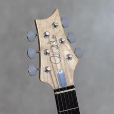 Paul Reed Smith [PRS] Silver Sky Rosewood Tungsten / 2024_9