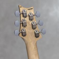 Paul Reed Smith [PRS] Silver Sky Rosewood Tungsten / 2024_10