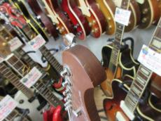 Bacchus TACTICS24-ASH/RSM_7