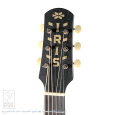 IRIS GUITAR COMPANY The BB Model Tobacco Burst【48回無金利対象品】_7