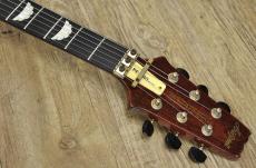 Aria Pro II PE-R80_5