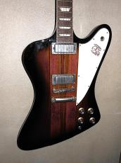 Epiphone FIREBIRD_2