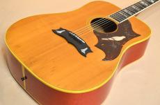Gibson DOVE CUSTOM　Early1970’s_3