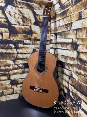 KODAIRA [小平] AST-120C 杉・ローズウッド【日本総本店2F 在庫品】