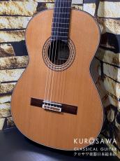 KODAIRA [小平] AST-120C 杉・ローズウッド【日本総本店2F 在庫品】_2