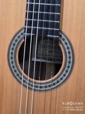 KODAIRA [小平] AST-150C 杉・ローズウッド【日本総本店2F 在庫品】_3