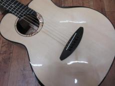 aNueNue Bird M-200_2