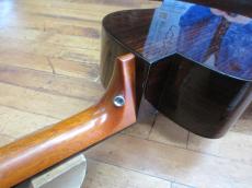 aNueNue Bird M-200_6