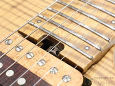 Altero Custom Guitars Astra Custom 【返品OK】[VLH47]【難波店在庫】_9