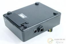 TECH21 SANSAMP GT2 [VL237]【神戸店在庫】_2