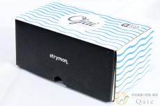 strymon Ojai R30 [VL878]【神戸店在庫】_10