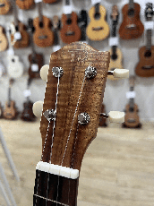 TODA Guitars VC- ALL MAHO No.770_4