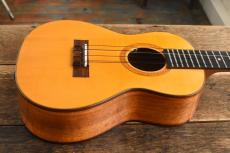 Furuya Guitar Works  Tenor 6string _7