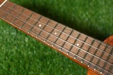 Famous FS-2PG Soprano Pineapple_7