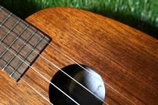 Famous FS-2PG Soprano Pineapple_9