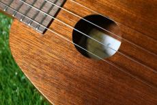 Famous FS-2PG Soprano Pineapple_10