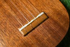 Famous FS-2PG Soprano Pineapple_11