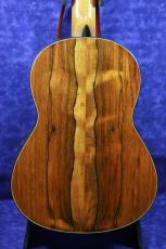 ＷＡＬＴＥＲ　ＶＥＲＲＥＹＤＴ 松/ハカランダ　2005年_3