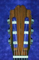 ＷＡＬＴＥＲ　ＶＥＲＲＥＹＤＴ 松/ハカランダ　2005年_4