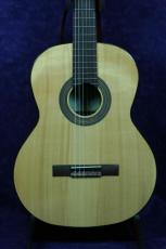 Ｏｒｐｈｅｕｓ　Ｖａｌｌｅｙ　Ｇｕｉｔａｒｓ F65S　松/ローズウッド_2