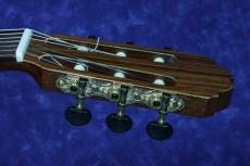 Ｏｒｐｈｅｕｓ　Ｖａｌｌｅｙ　Ｇｕｉｔａｒｓ F65S　松/ローズウッド_5