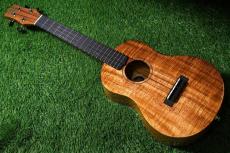 KIWAYA KPT-1K/E HG Tenor_3