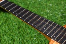 KIWAYA KPT-1K/E HG Tenor_7