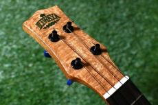 KIWAYA KPC-1LW Concert_5