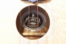 KIWAYA KPC-1LW Concert_16