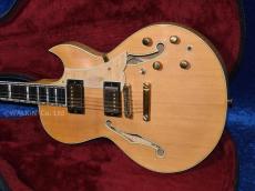 Carlo greco Semi-Hollowbody_2