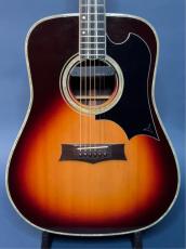 K.Yairi YW-600GS_2