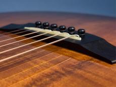 Taylor K24CE_6