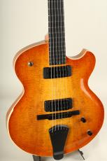 Victor Baker Guitars Model 14 Semi Hollow Model / Honey burst - High Gloss Topcoat 2024_3