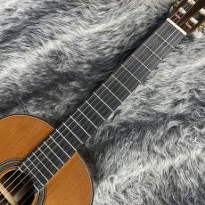 ARIA A-50C_2