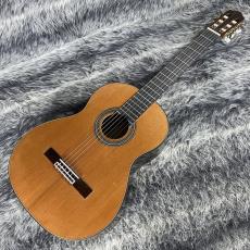 ARIA A-50C_4