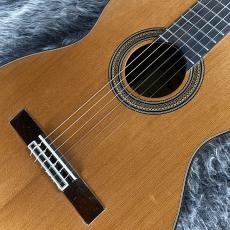 ARIA A-50C_5