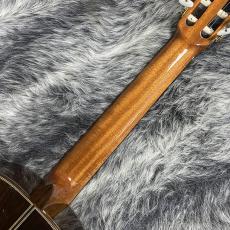 ARIA A-50C_7