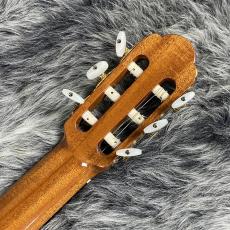 ARIA A-50C_8