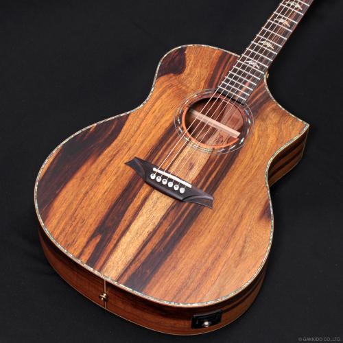 Bromo Guitars BAR4GCE