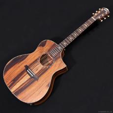 Bromo Guitars BAR4GCE_2
