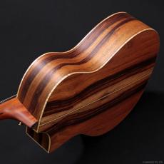 Bromo Guitars BAR4GCE_5