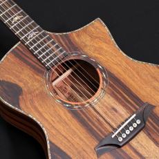Bromo Guitars BAR4GCE_6