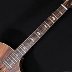 Bromo Guitars BAR4GCE_10