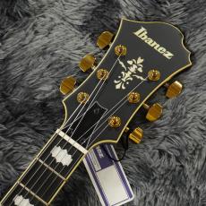 Ibanez PM3C-BKL (Black Low Gloss) Pat Metheny New Signature Model【特価】【SPOTモデル】_6