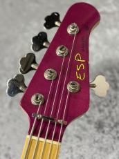 ESP 20th L'Anniversary Bardic【4.32kg】_7