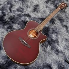 Ibanez AE100-BUF (Burgundy Flat) 【特価】_2